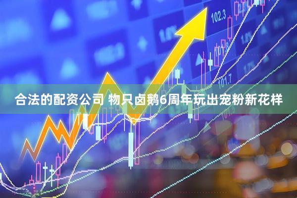 合法的配资公司 物只卤鹅6周年玩出宠粉新花样