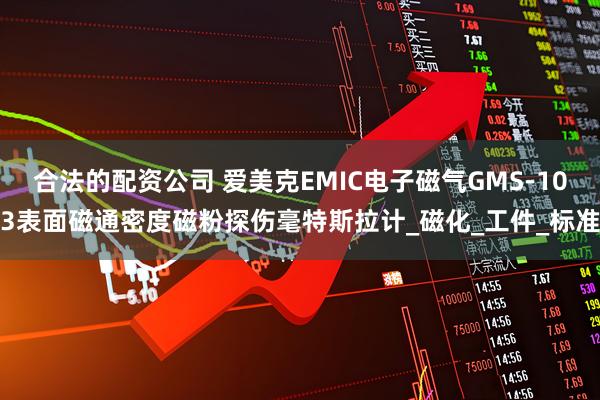 合法的配资公司 爱美克EMIC电子磁气GMS-103表面磁通密度磁粉探伤毫特斯拉计_磁化_工件_标准
