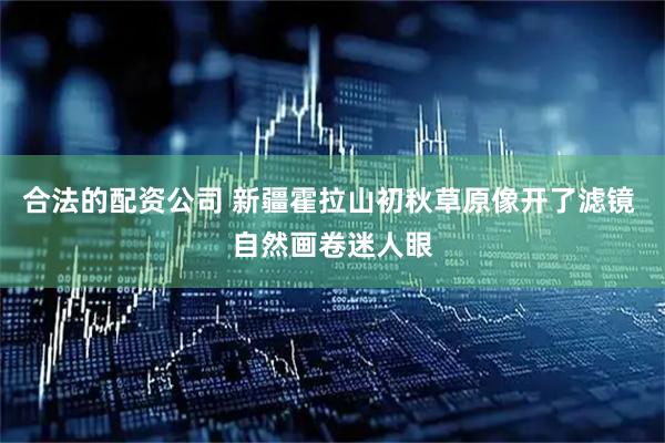 合法的配资公司 新疆霍拉山初秋草原像开了滤镜 自然画卷迷人眼